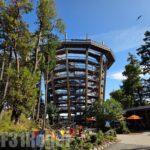 Malahat Skywalk, Victoria BC 2025